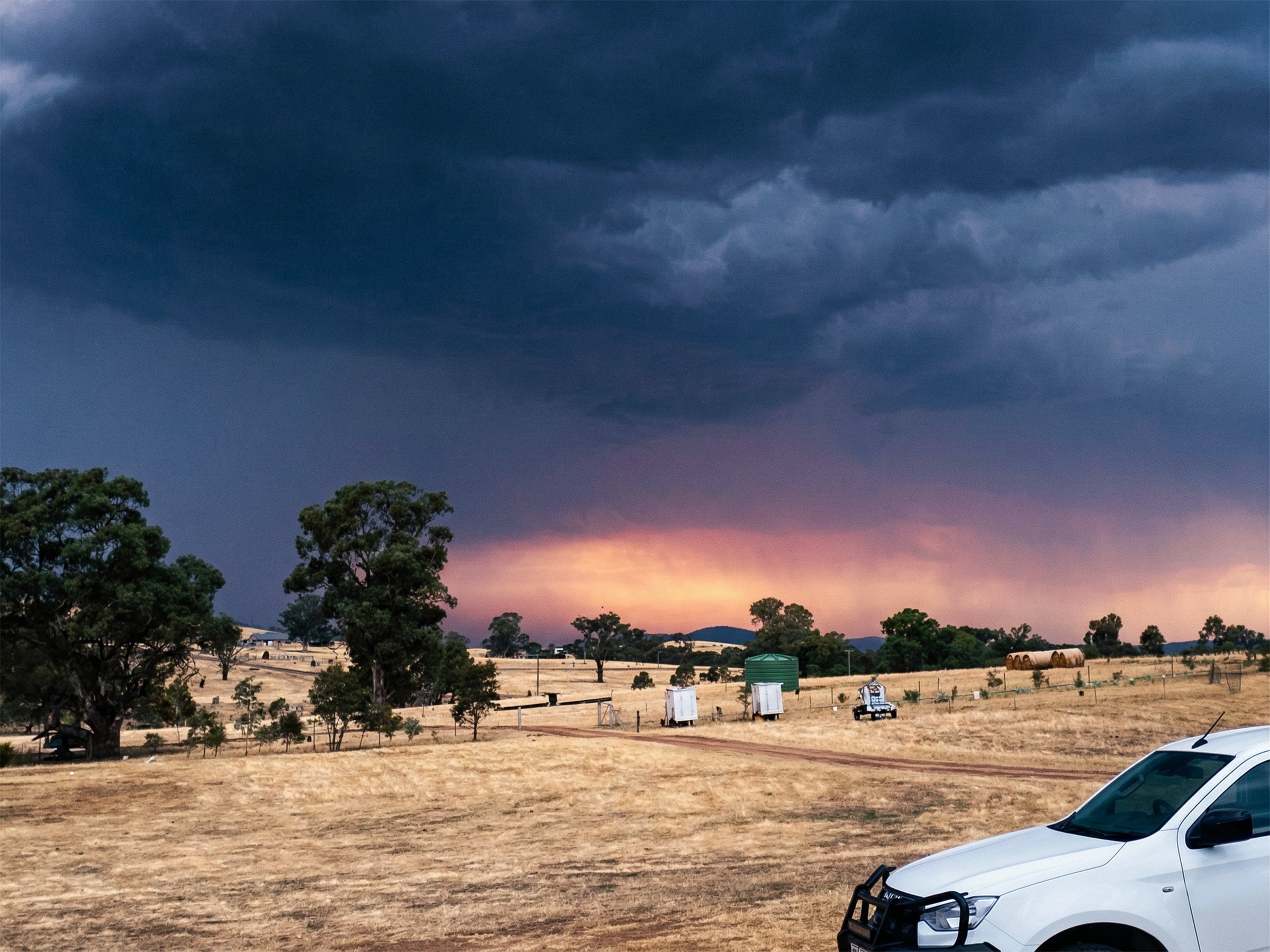 Life on Pastoral Lane: Simple Joys by the Murray