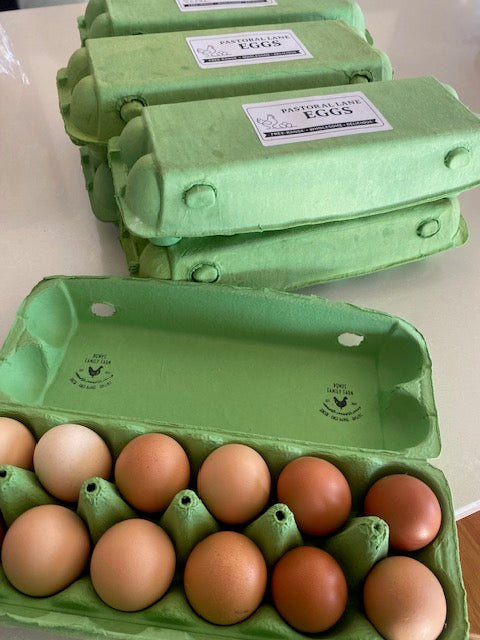 Pastoral Lane Eggs