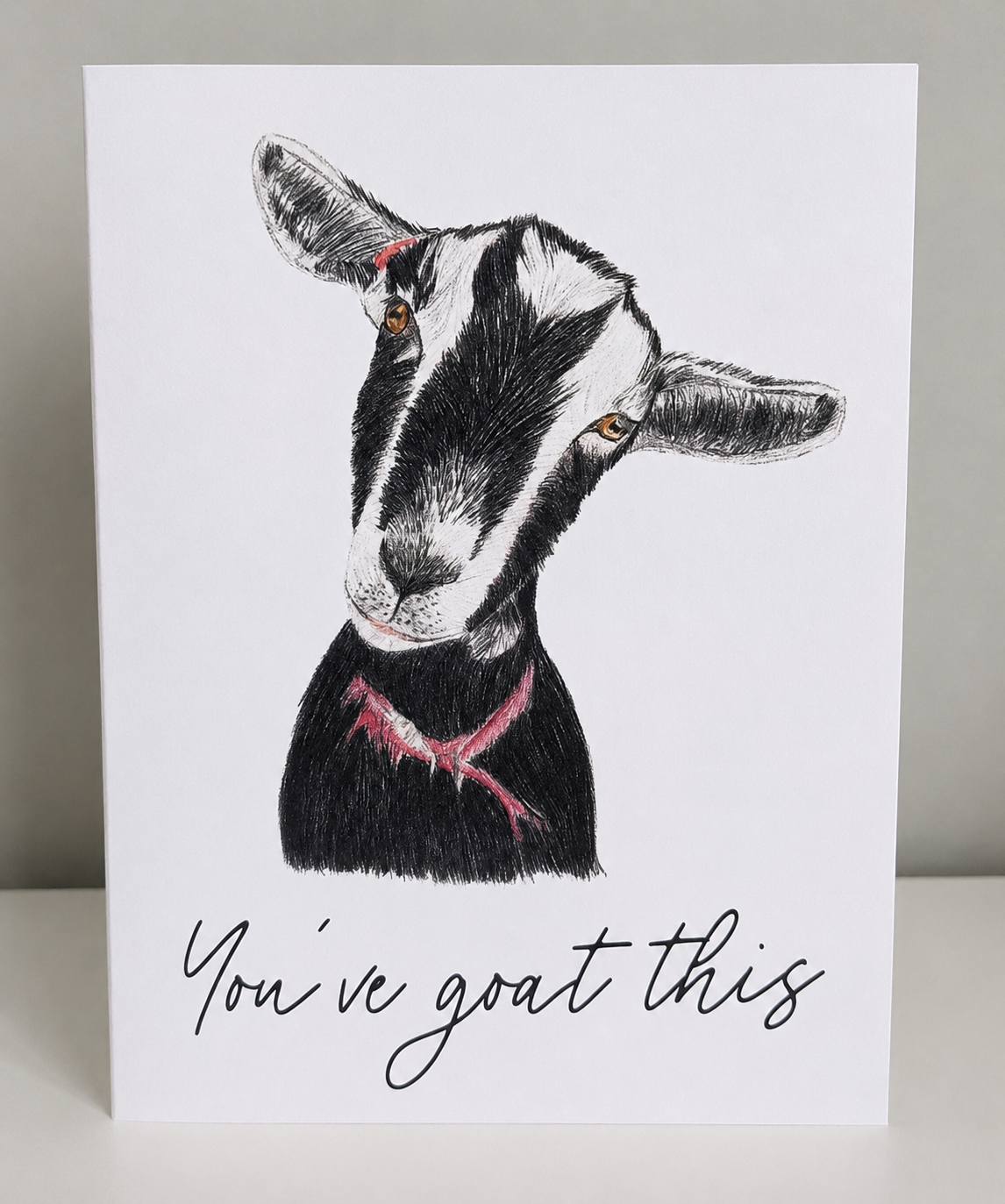 Have Ewe got Something to Celebrate?