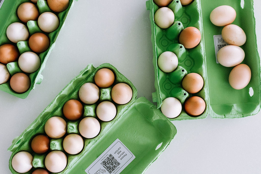 Pastoral Lane Eggs
