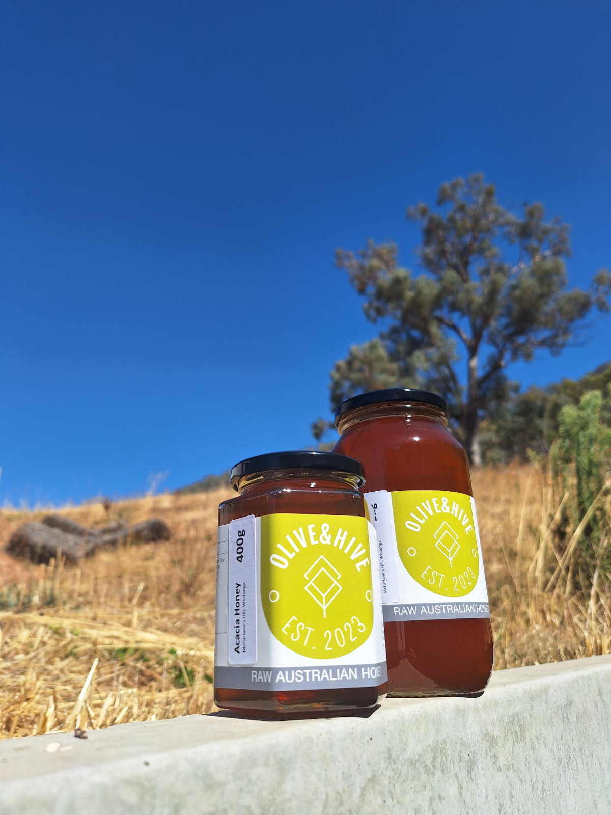 Acacia Raw Honey