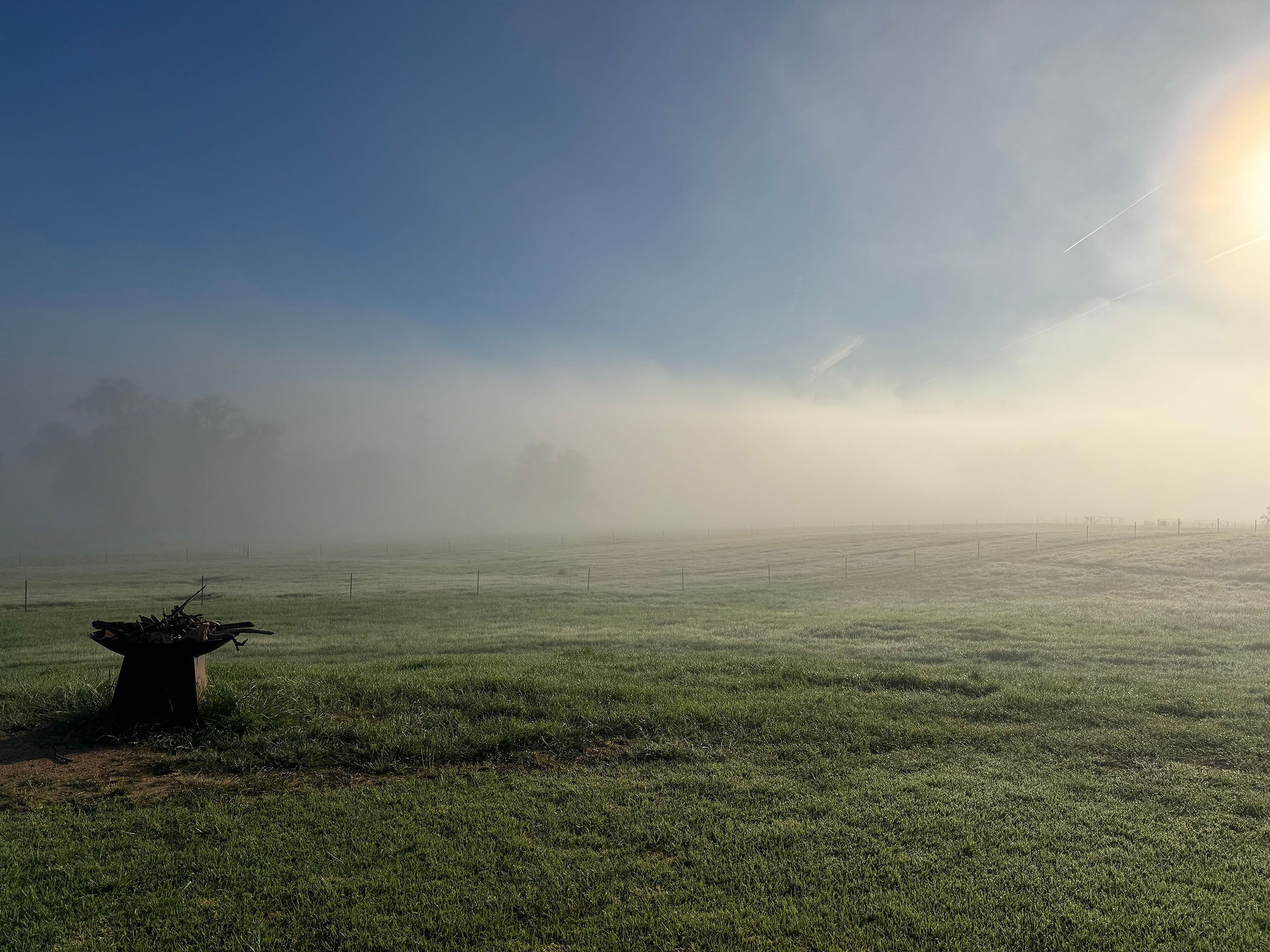 Life at Pastoral Lane: Autumn Rain Brings New Life to Pastoral Lane 🍂🌱