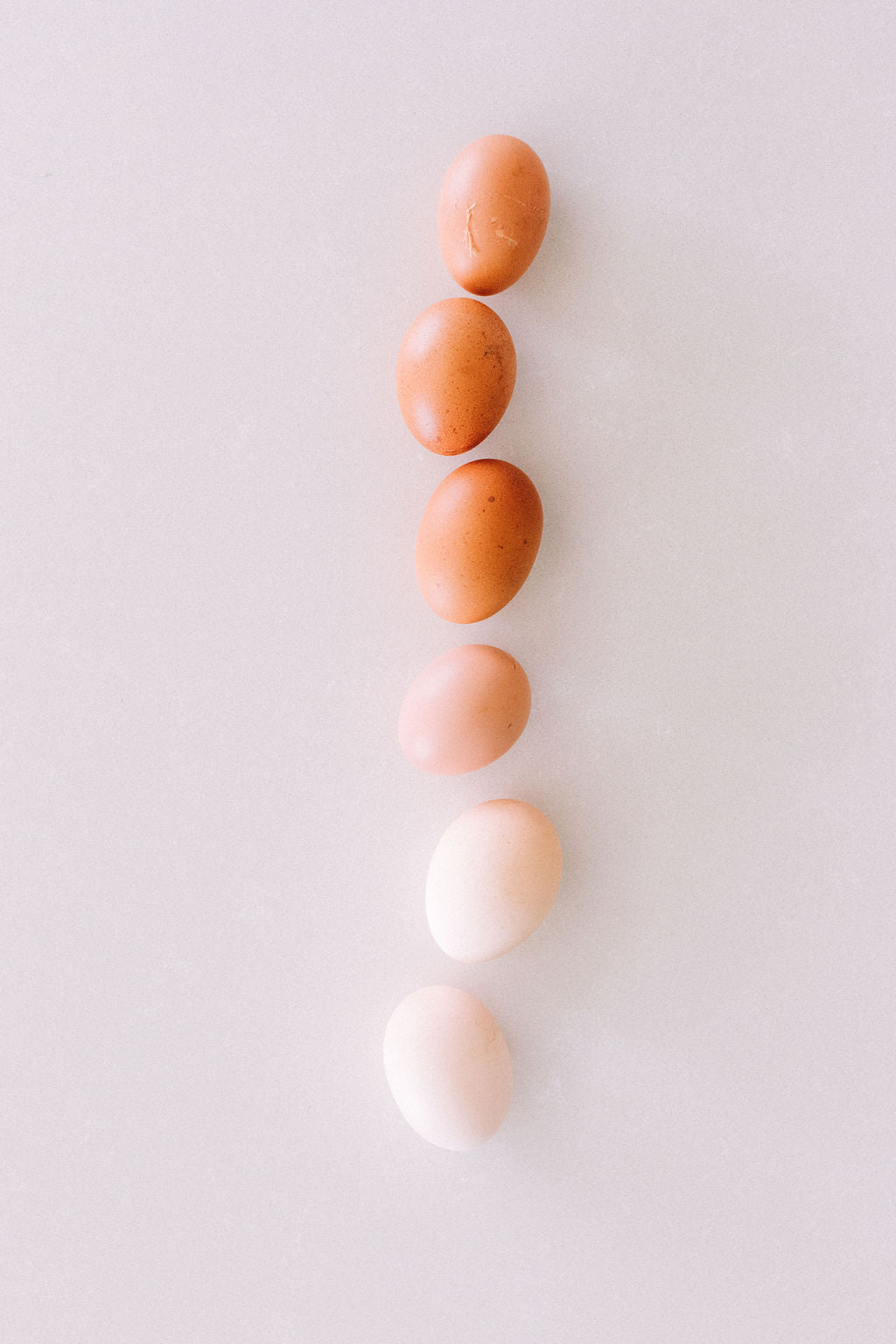 Pastoral Lane Eggs