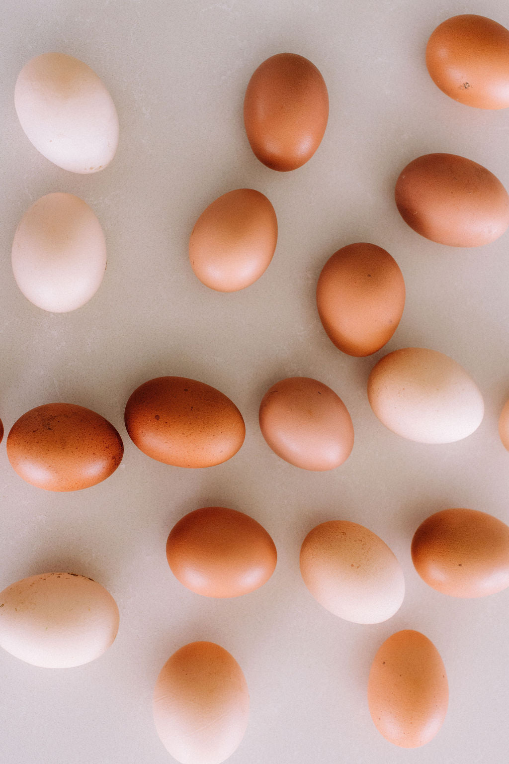 Pastoral Lane Eggs
